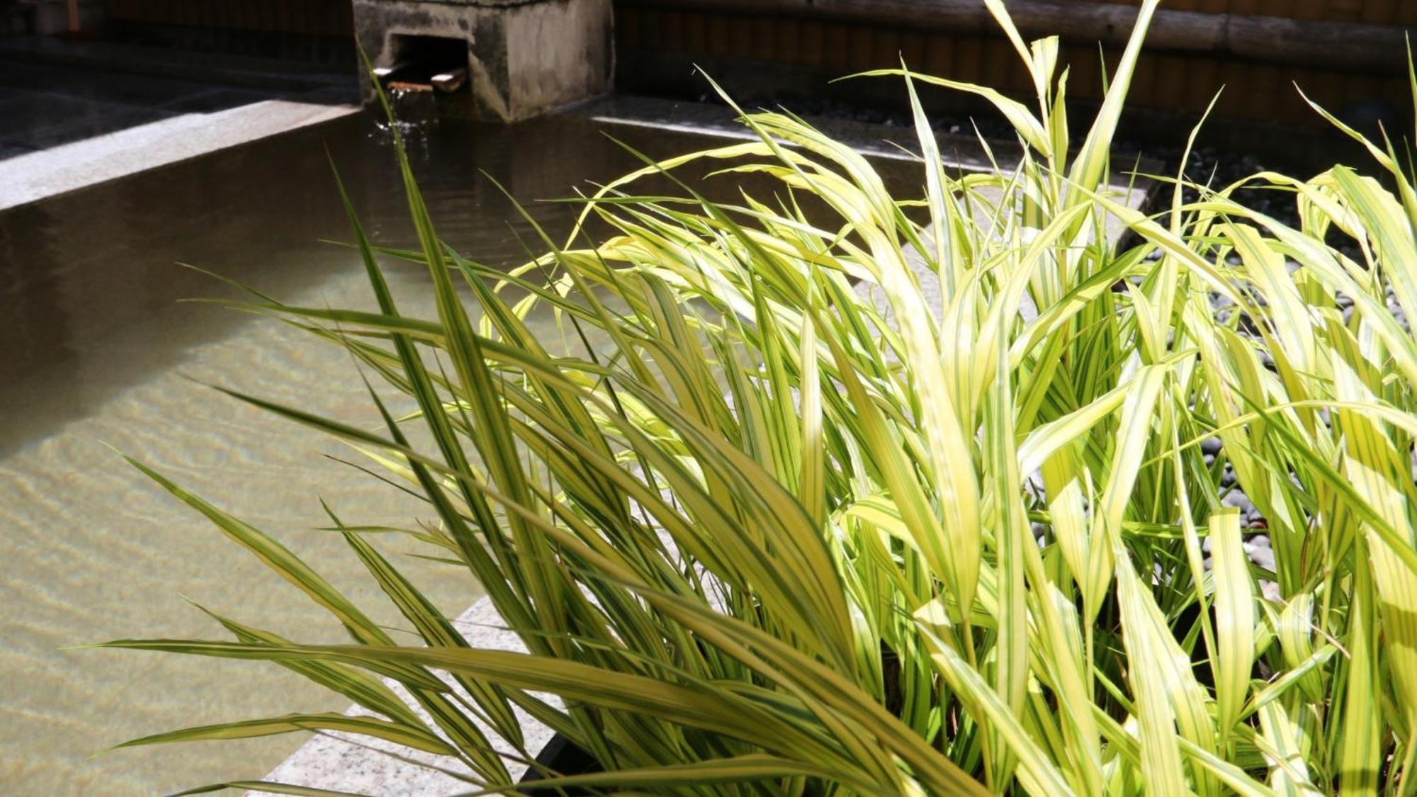 Baigetsu Ryokan Shimosuwa Exterior foto